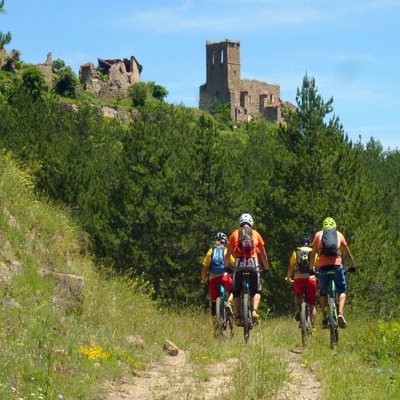 Morella Singletracks
