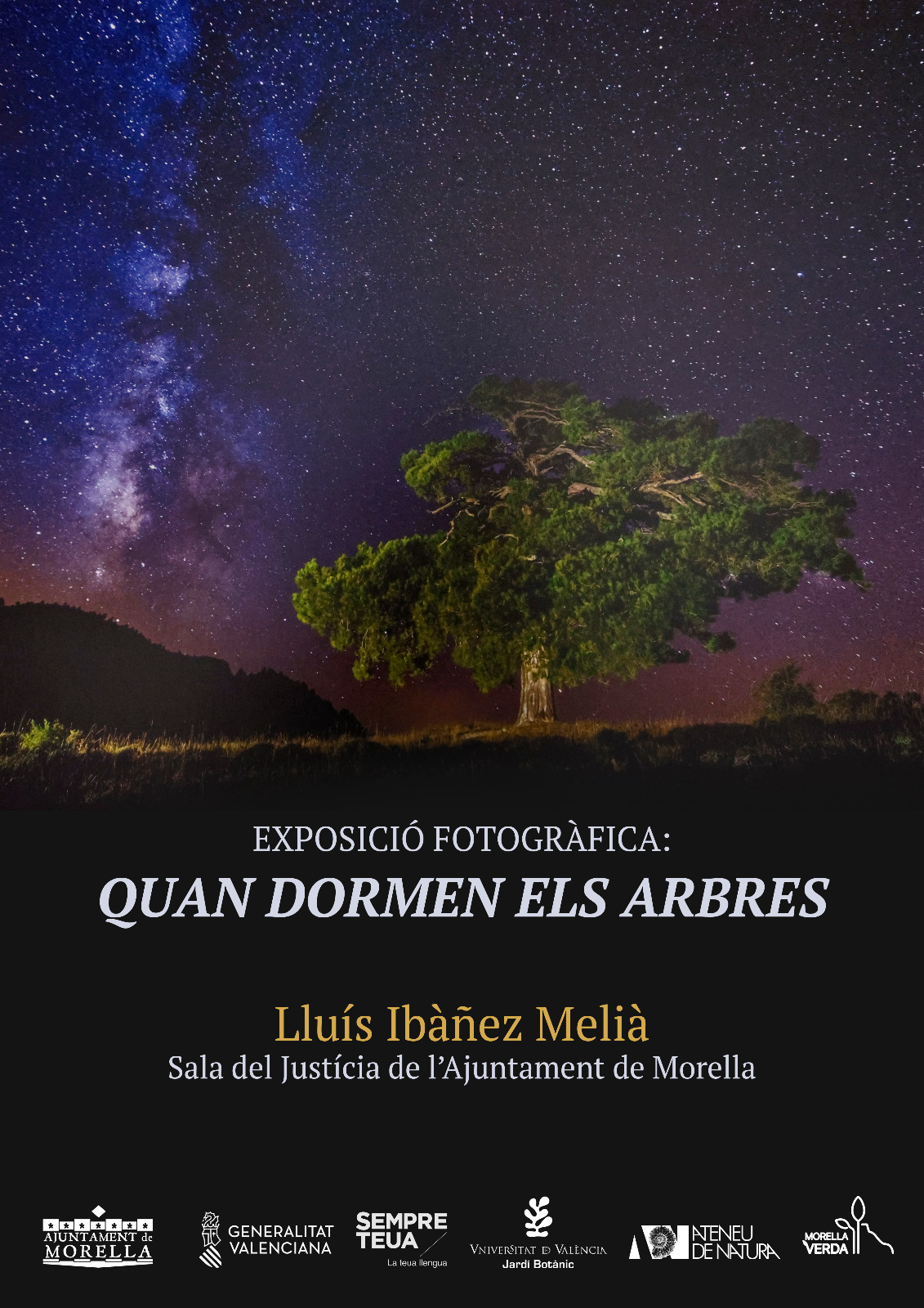 Quan dormen els arbres 5